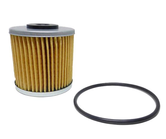 Hydro-Gear, Hydro Gear 72537 Genuine OEM Transmission Filter Kit with O Ring